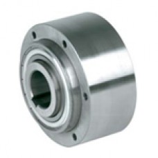 RIZ30 one way bearing